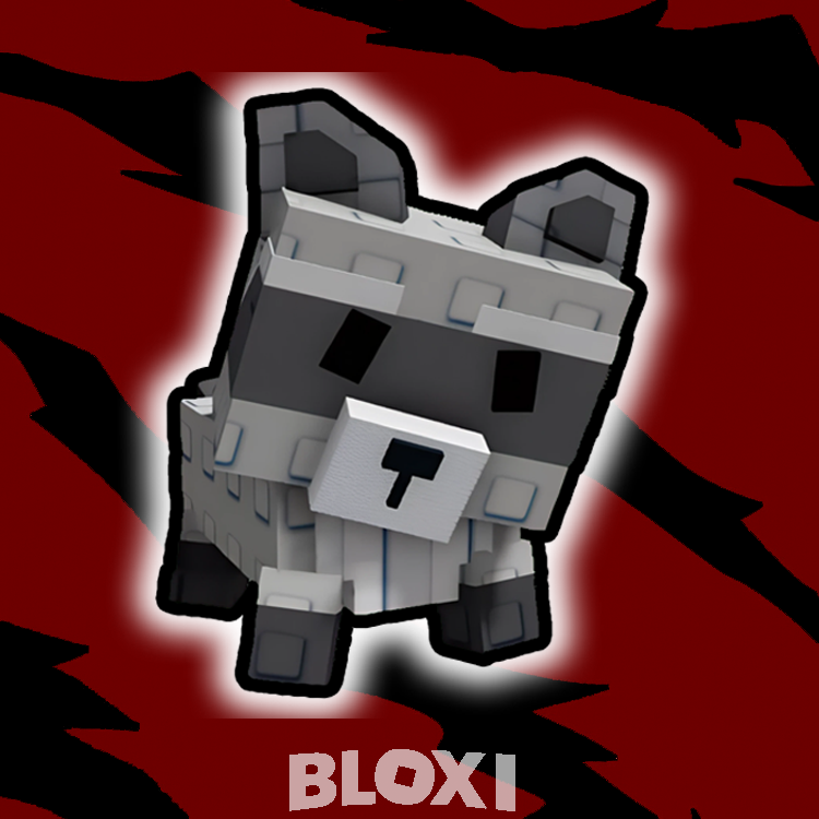Raccoon